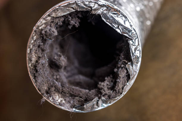 Best Home Air Vent Cleaning  in Williamsburg, KY